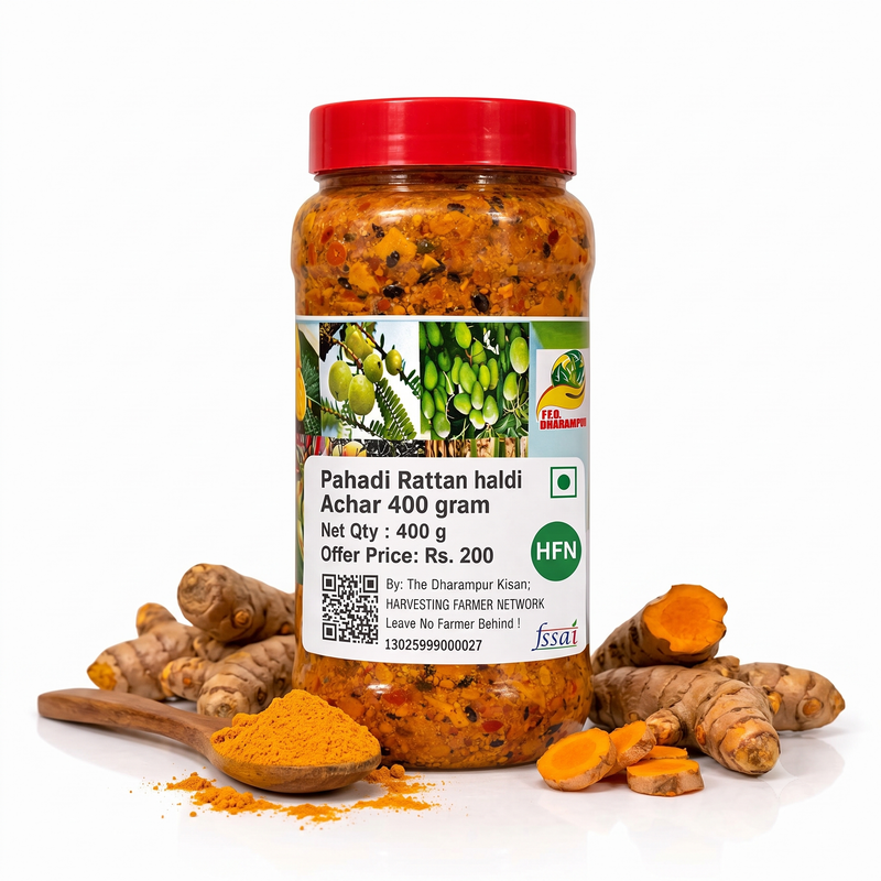 Pahadi Rattan haldi Achar 400 gram 1
