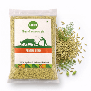 Fennel Seed 200g