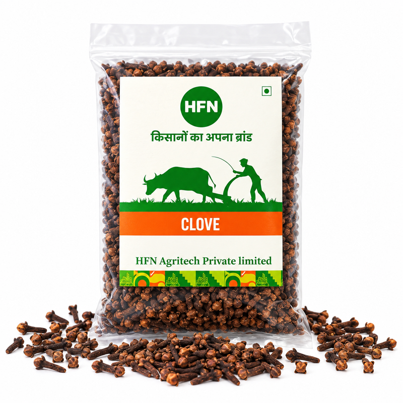 HFN Clove 100g 1