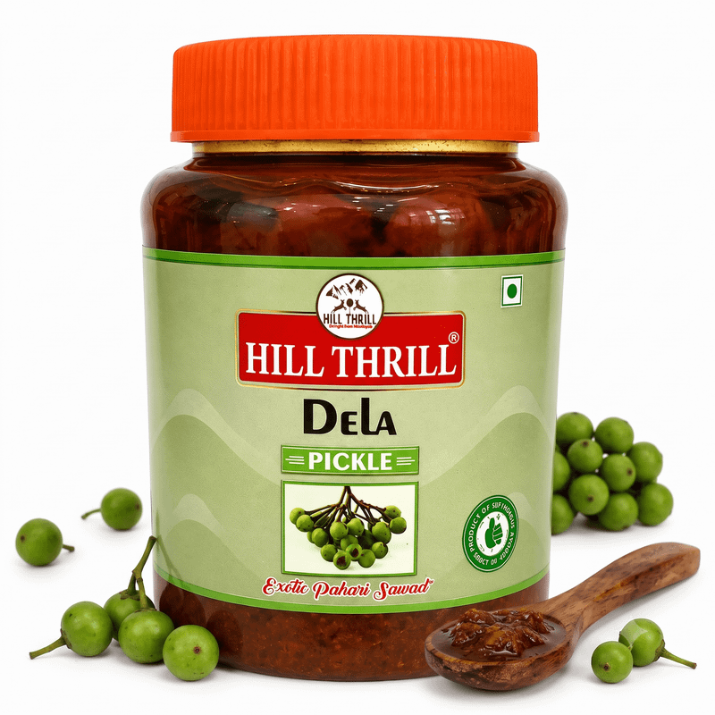 DELA PICKLE 500GM (HT) 1