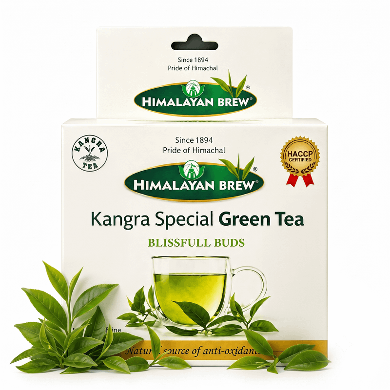 Kangra Special Green Tea 1