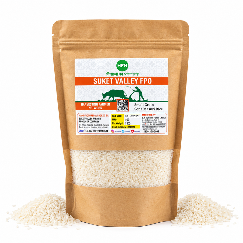 Small Grain Sona Masuri Rice 1